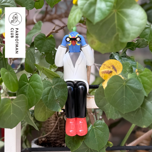 預購|Parrotman – Future Vision|鸚鵡人-未來之景|Art Toy