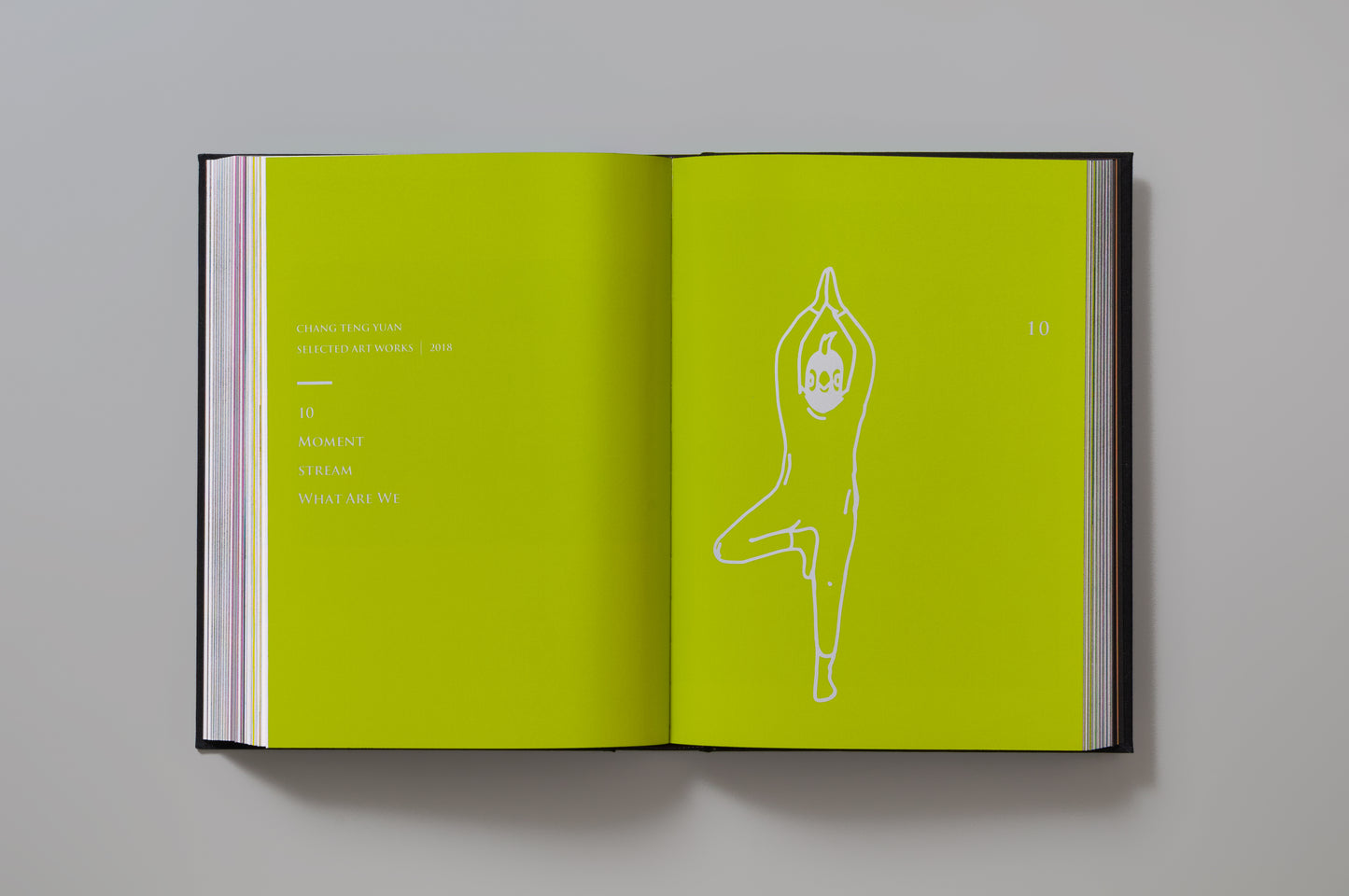 CHANG Tengyuan Book 2015-2021